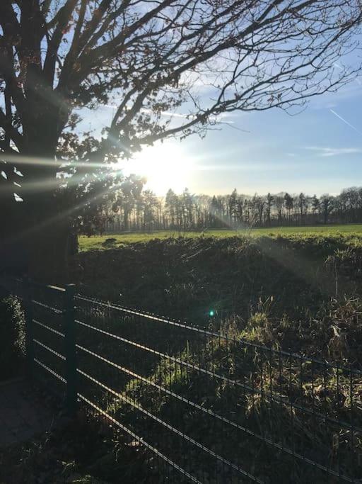 Ferienhaus Direkt An Der Hase Quakenbrück Exterior foto
